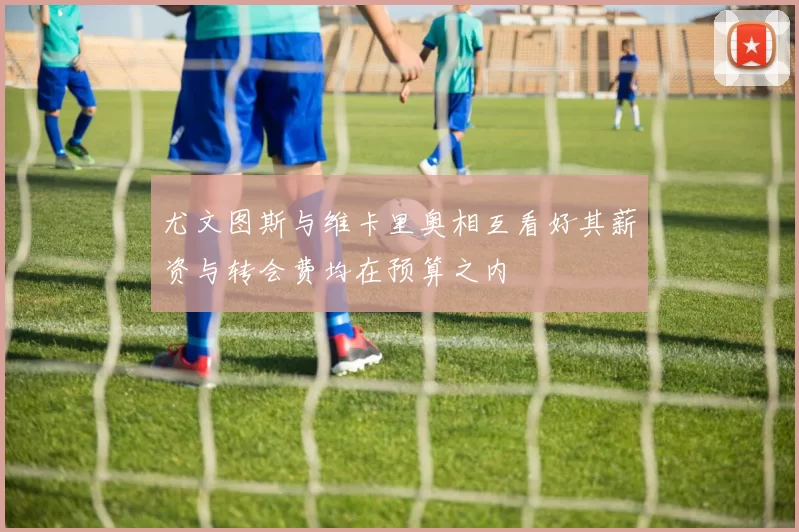 尤文图斯与维卡里奥相互看好其薪资与转会费均在预算之内