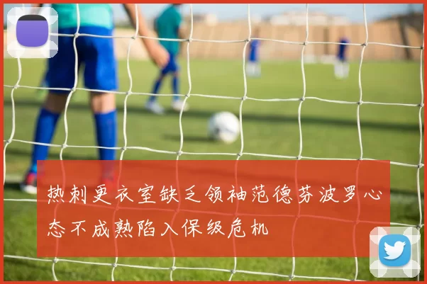 热刺更衣室缺乏领袖范德芬波罗心态不成熟陷入保级危机
