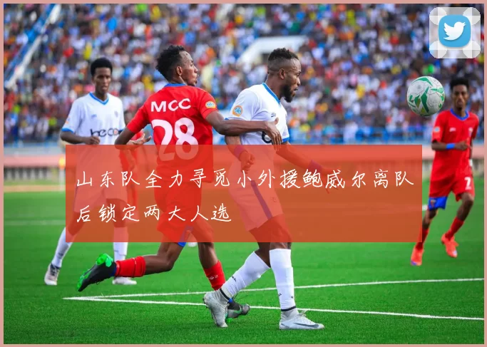 山东队全力寻觅小外援鲍威尔离队后锁定两大人选
